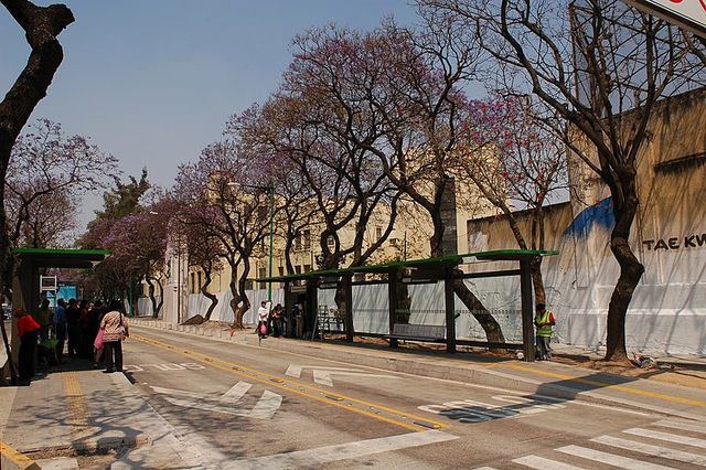 Estación Necaxa L7 del Metrobús